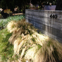 modern farmhouse landscape