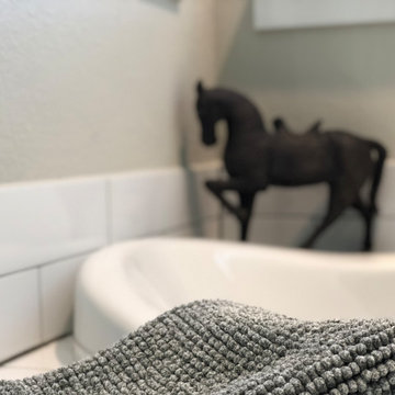 Iowa Colony Master bath