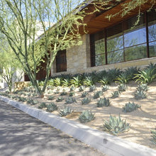 Landscaping- contemporary