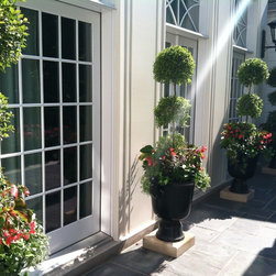 Spring Rotations - Plants