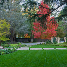 Frontyard