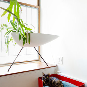 My Houzz: Cheerful, Cool and Collected in a Brooklyn Loft