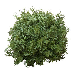 Brucs Green Boxwood Ball - Artificial Flower Arrangements