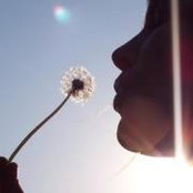 Dana O'Barr's photo