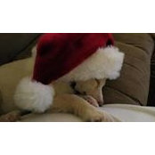 Jennifer McGee's photo