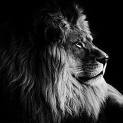 Randy Tabadero's photo
