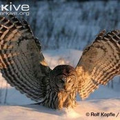 Sheila Wolfer's photo
