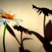 Lori Barkley's photo