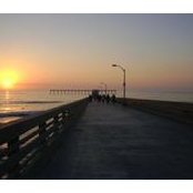 Janice Small's photo