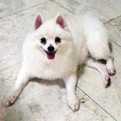 Hubsie Ocampo's photo