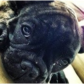 Buckley Tole's photo