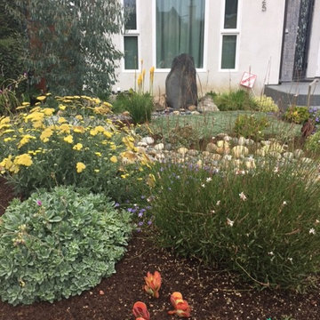 Rose in Bloom Backyard Makeover