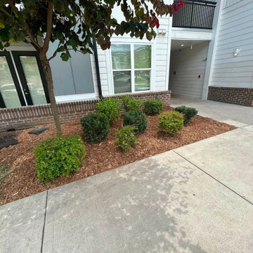 Fresh Pine Straw Installation & Landscape Maintenance