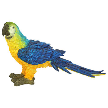 Mortimer the Macaw Tropical Parrot Statue