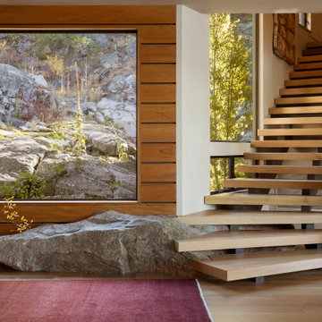 Lakehouse Nature Modern