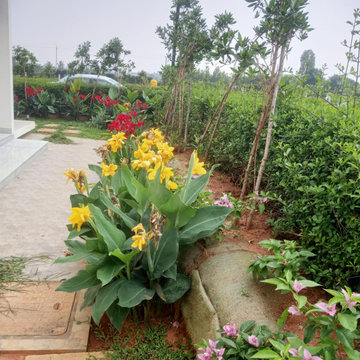 Serene Garden 1081