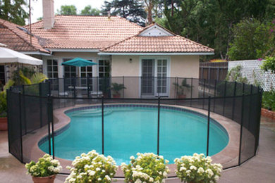 This is an example of a backyard kidney-shaped pool in Miami with concrete slab.