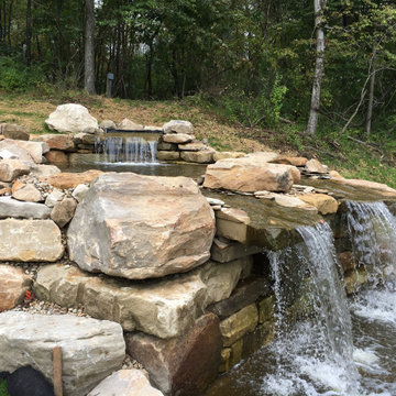 Swimming Hole
