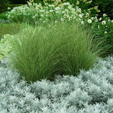 White Garden