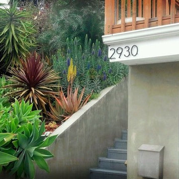 Hillside Home Northeast Los Angeles