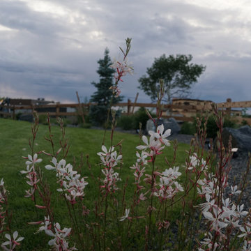 Duke's Landscape