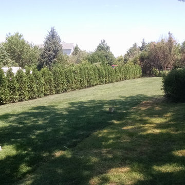 Sod Installation, Brush Removal, Planting, Mulching and Trimming