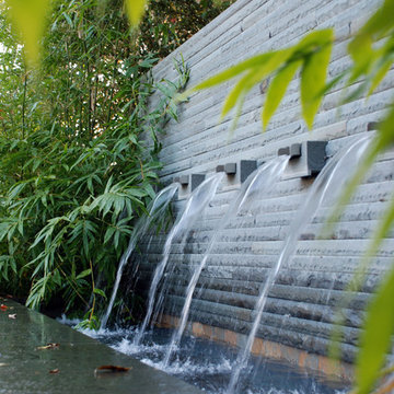 Monroe Modern