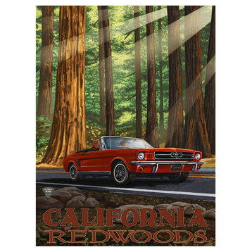 Paul A. Lanquist California Redwoods Mustang in Redwoods Art Print, 9"x12"