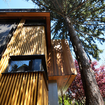 Treehouse