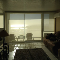 Screen Roller Shades - Products