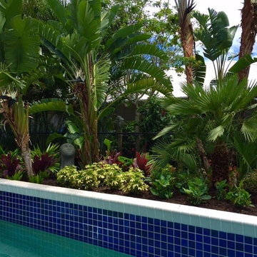 Tropical front & backyard landscapes....Palms & Color