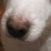 Lucy Howard's photo