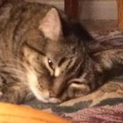 Kristine Kiser's photo