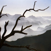 scott giller's photo