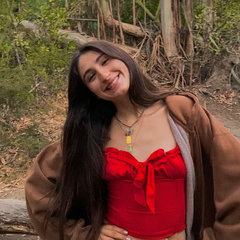 Hdvs