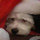 webuser_6480582