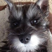 Marti Richardson's photo