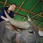 Siradee Chesadaval's photo