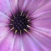 Jeanette Banner's photo