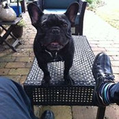 Jay Patten's photo