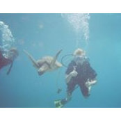 Debbie Moore- Huntley's photo