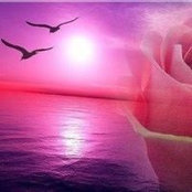 Elena Mishchenko's photo