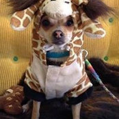 Brandy Deieso's photo