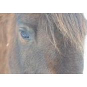 Kristen Delk's photo