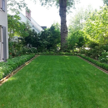 Front Lawn