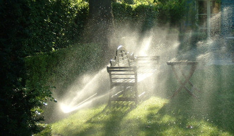 10 erreurs à ne pas commettre en cas de canicule
