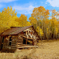 Cabin - Photographs