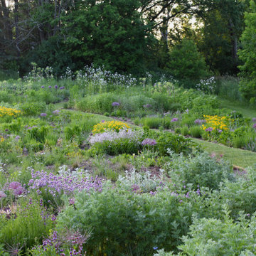 Stonehouse Meadow - Late Spring