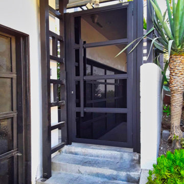 Black Glass Entry Gate Front Door