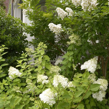 Cleveland Park Curb Appeal